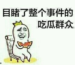为了吃瓜我进娱乐圈了,我的跨界之旅
