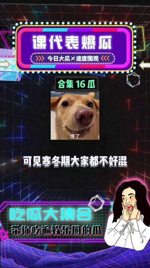 娱乐吃瓜圈,揭秘明星幕后故事与热点事件