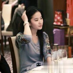 娱乐明星吃瓜日常小说,明星们的甜蜜瓜田生活