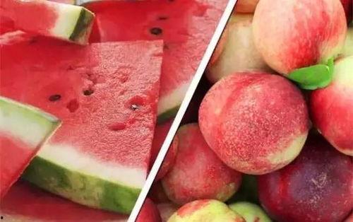 娱乐吃瓜酱雪玫瑰,娱乐吃瓜酱的甜蜜诱惑