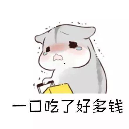 娱乐吃瓜酱当仓鼠店老板,揭秘当仓鼠店老板的趣味日常