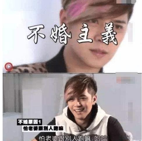 娱乐圈大佬吃瓜小说免费阅读