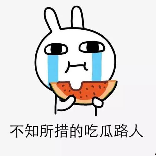 吃瓜娱乐没有圈,吃瓜群众的无圈生活